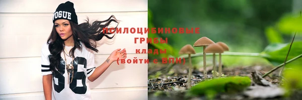 мет Переславль-Залесский