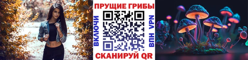 Галлюциногенные грибы MAGIC MUSHROOMS  ОМГ ОМГ зеркало  Родники 
